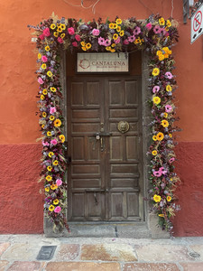IMG_4921.jpeg