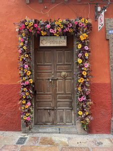 IMG_4956.jpeg