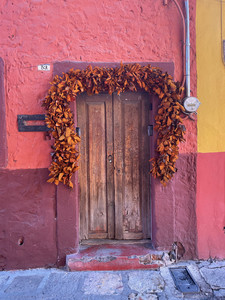 IMG_4966.jpeg