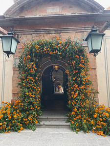 IMG_5032.jpeg