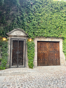 IMG_5039.jpeg