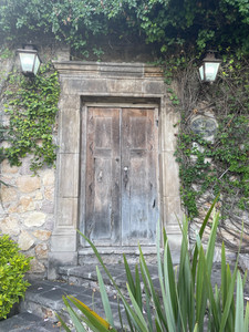 IMG_5191.jpeg