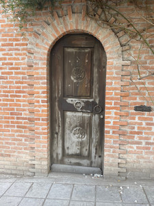 IMG_5204.jpeg